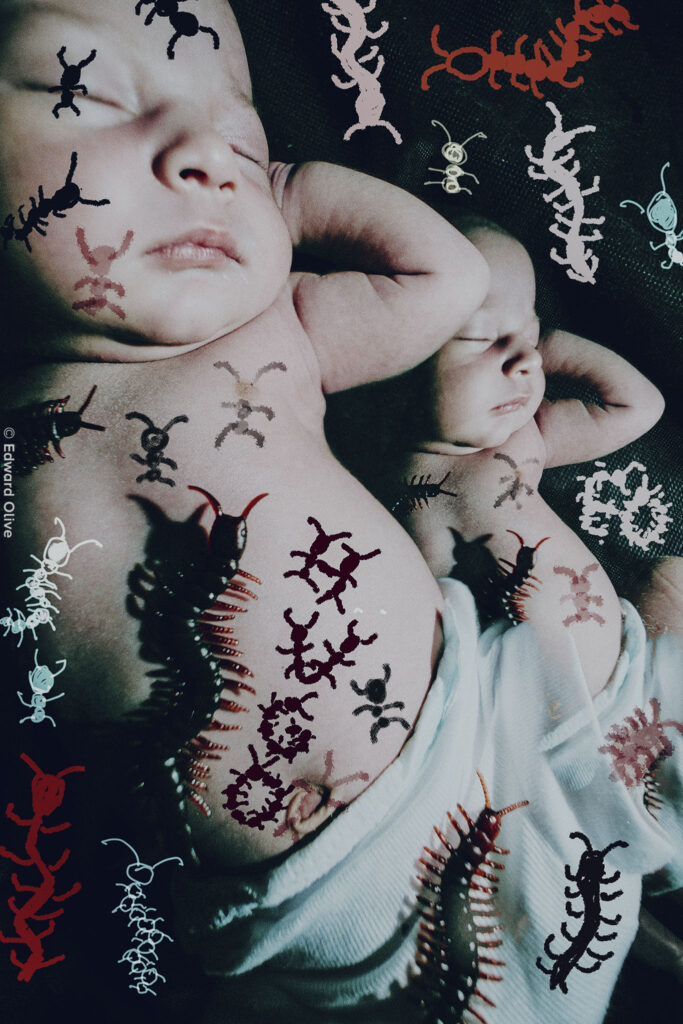 DSCFv artv fotografia bebes madrid babies edward olive