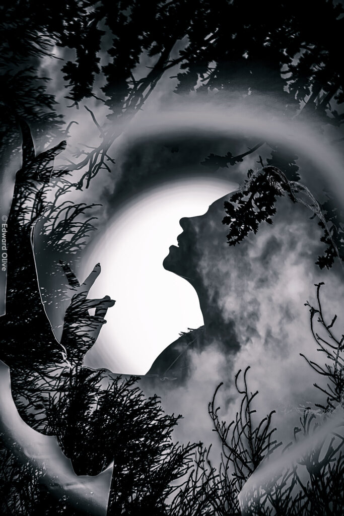 RAv RIVv art photo edward olive fotografo madrid