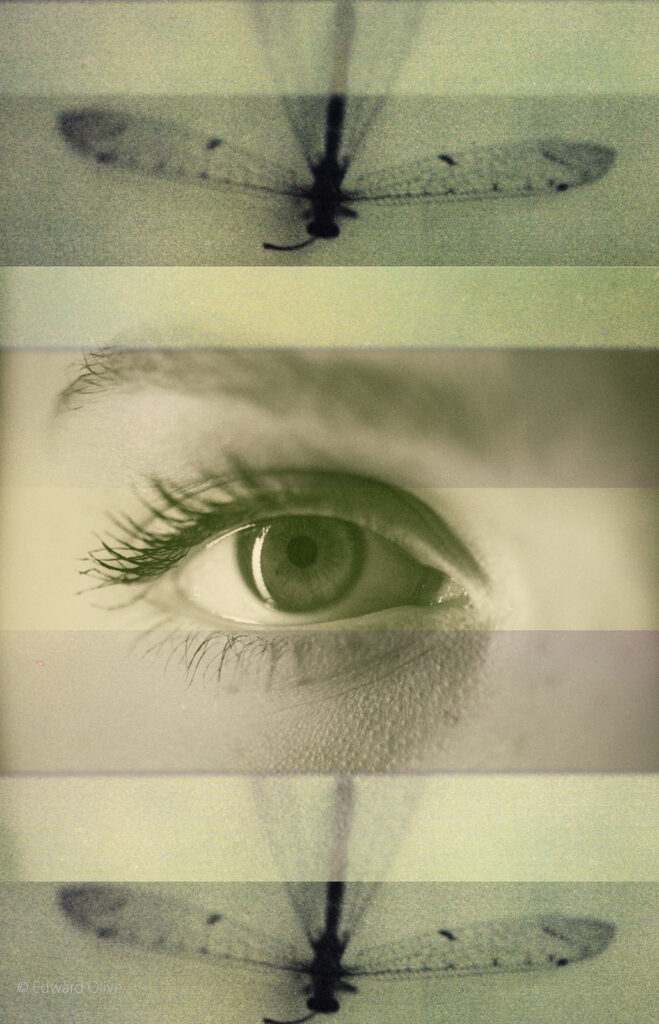 edward olive fotografo artista madrid c