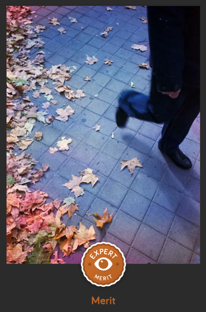 Award Photocrowd Autumn Colours EM