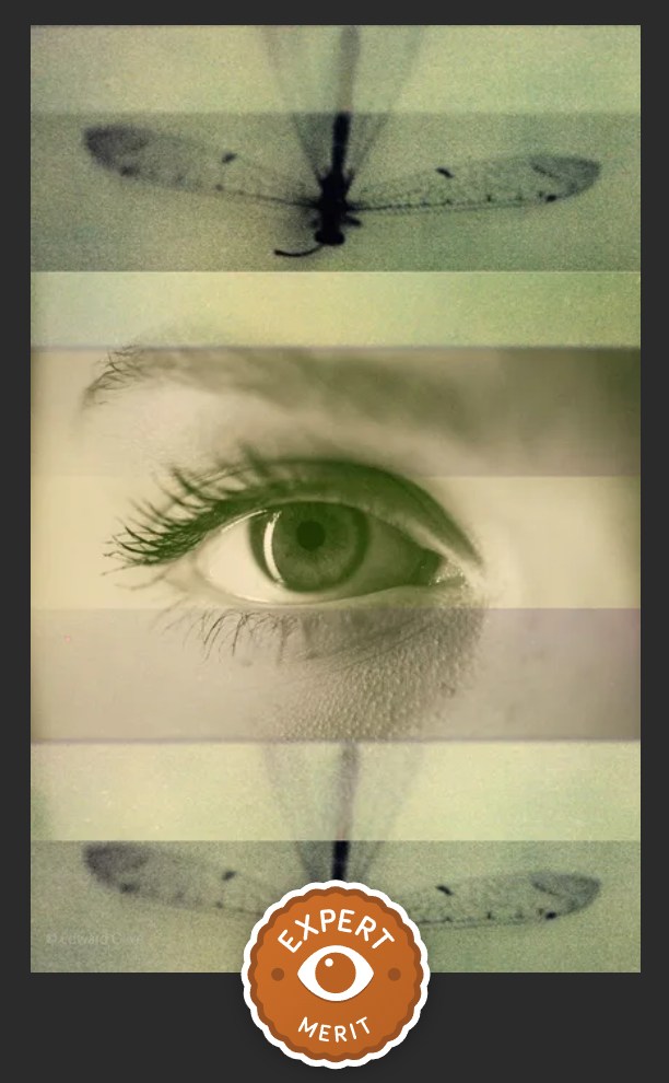 Award Photocrowd Bang in the Middle Expert ()