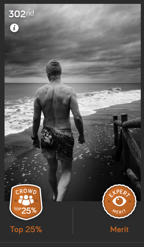 Photocrowd self portraiture edward olive awards ()