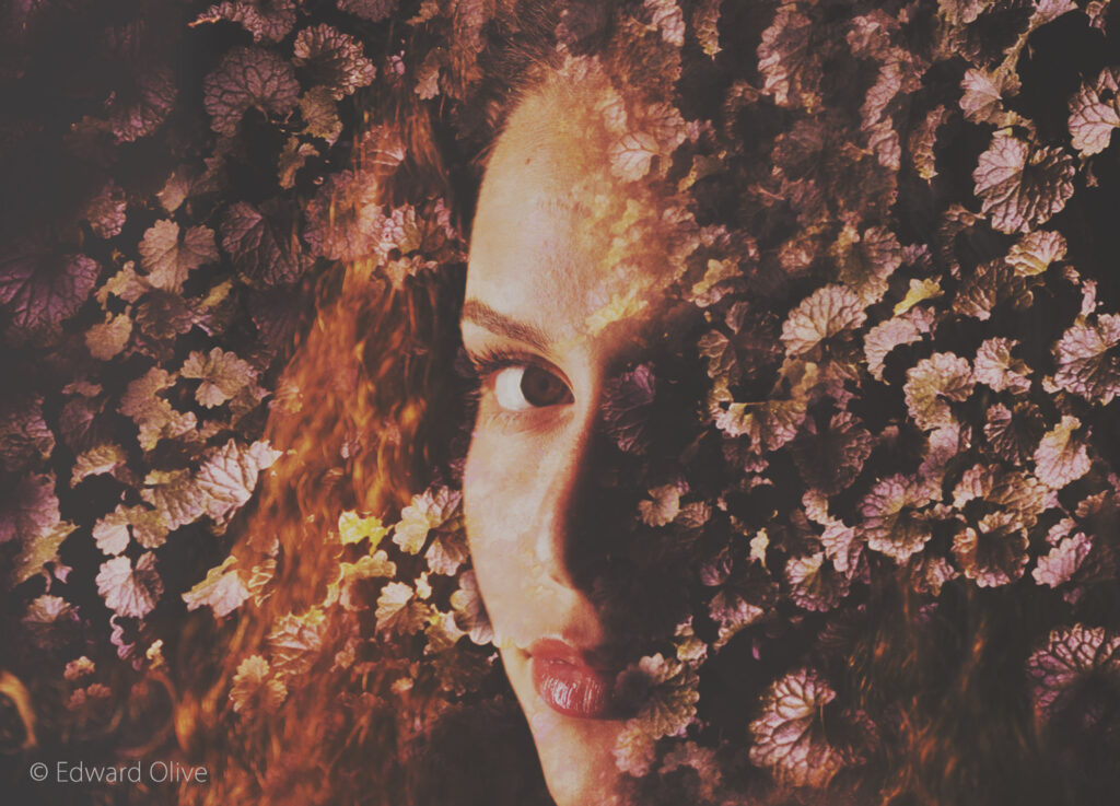 IMG edward olive fotografo artista madridc