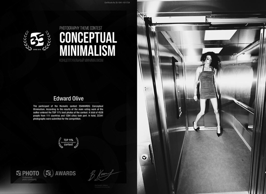 awards conceptual minimalism edward olive top